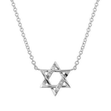 14k White Gold Alternating Diamond & Gold Star of David Necklace