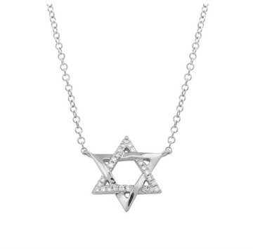 14k White Gold Diamond Star of David Necklace