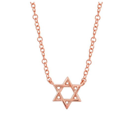 14k Rose Gold Mini Star of David Necklace